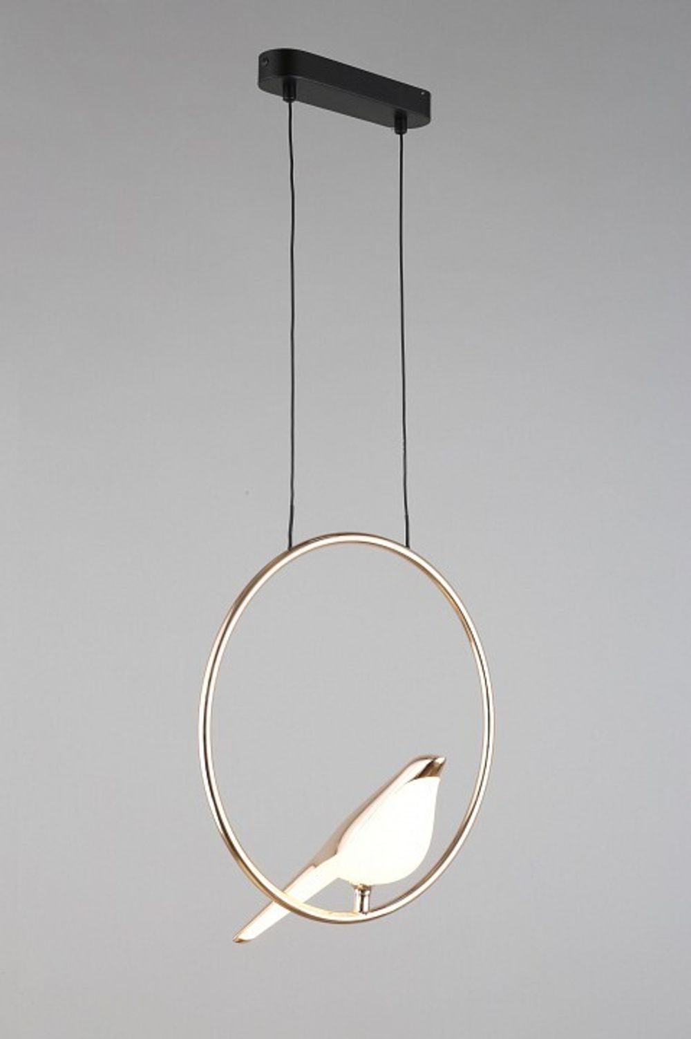 Подвесной светильник Aployt Astor APL.822.06.10