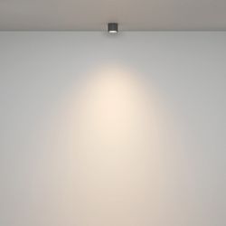 Накладной светильник Maytoni Rendo C095CL-GX53-GR