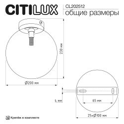 Citilux ORTON CL202512 Светильник Шампань