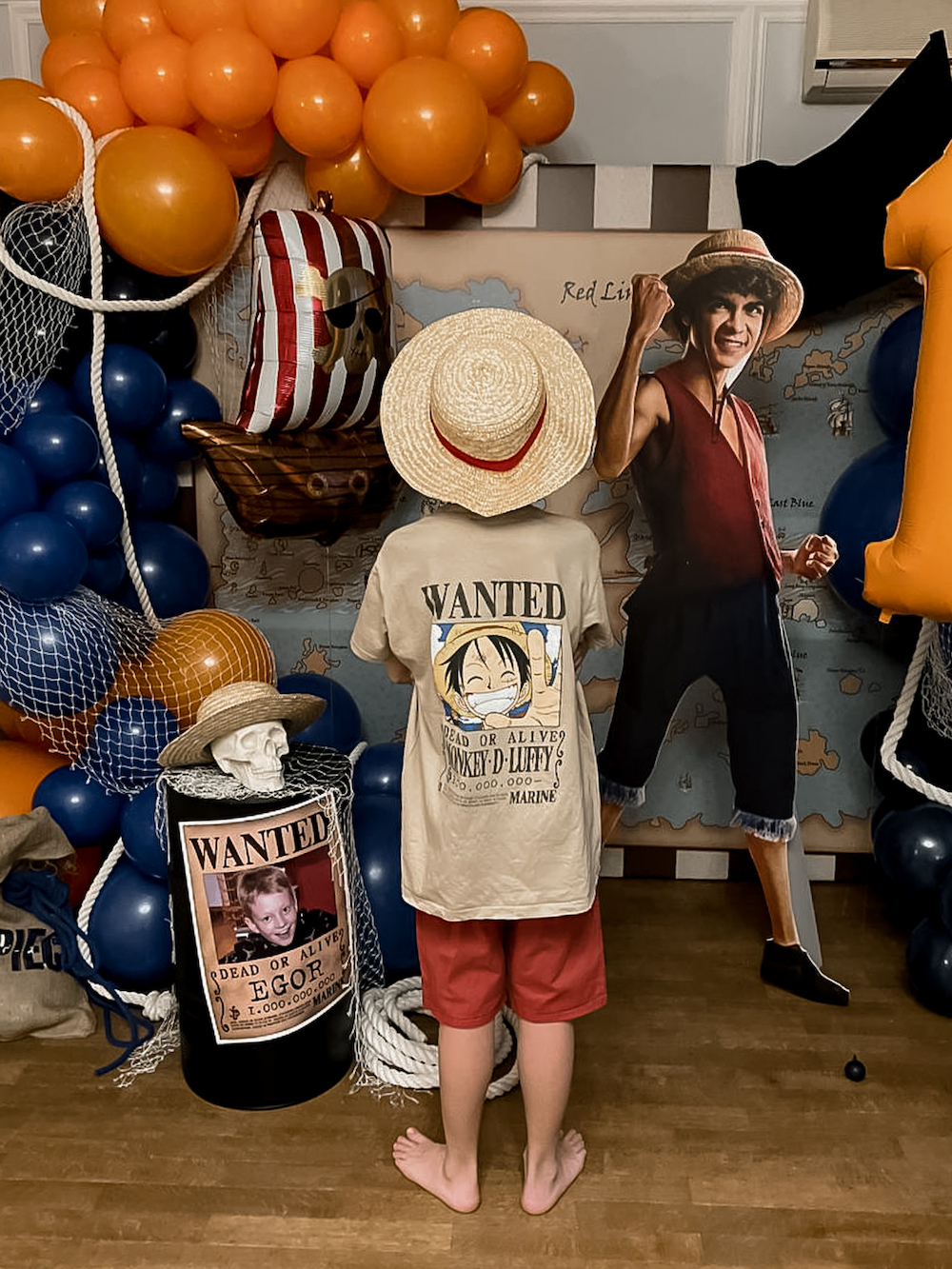 One Piece Party