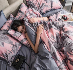 Постельное белье ЕВРО (двуспалка) Египедский Хлопок Лепестки розовом сером