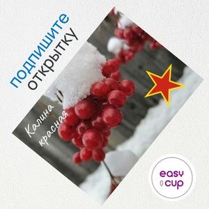 Поздравительная открытка из подарочного набора на 23 февраля