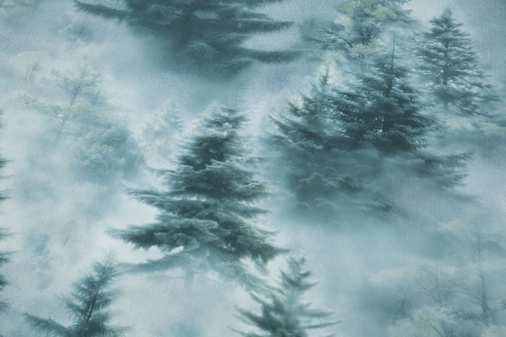 Palitra 1,06 м 72551-67