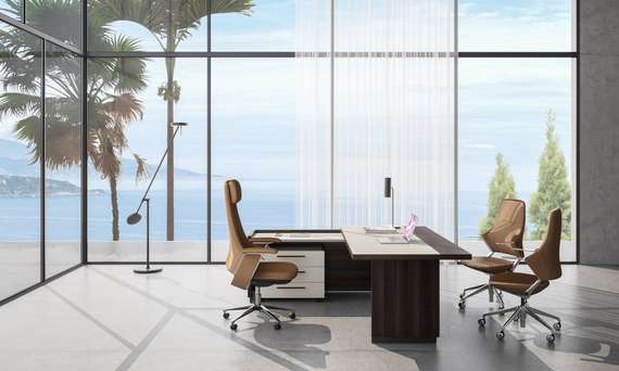 Кабинет руководителя Reef