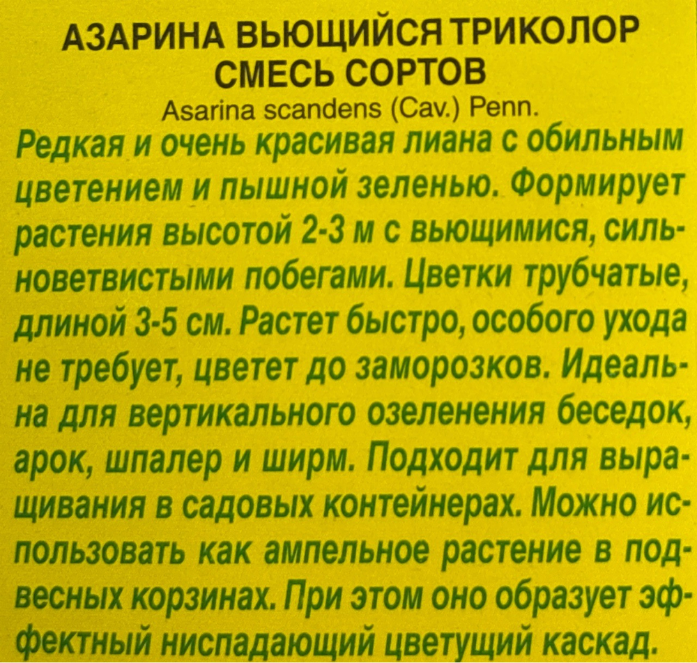 Азарина Вьющийся триколор, смесь сортов СМЦ-933