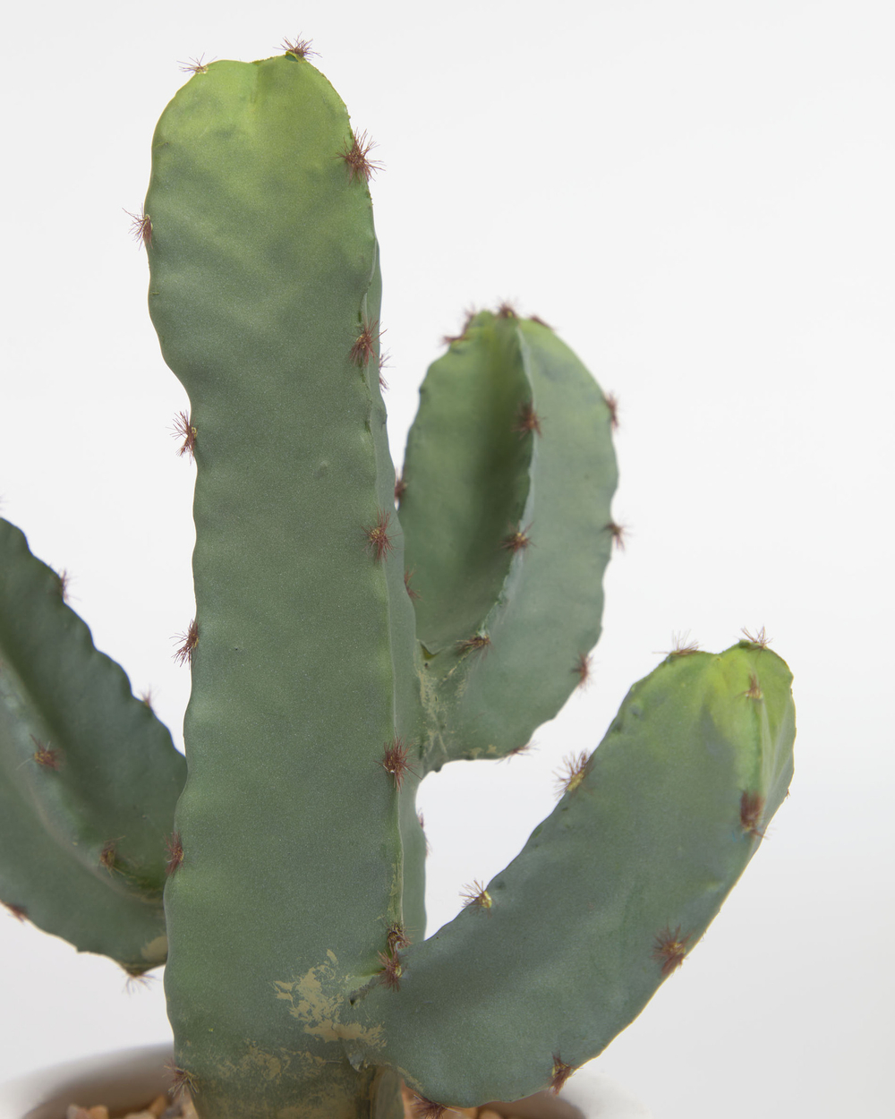 Искусственный Cactus с белым горшком 22 см