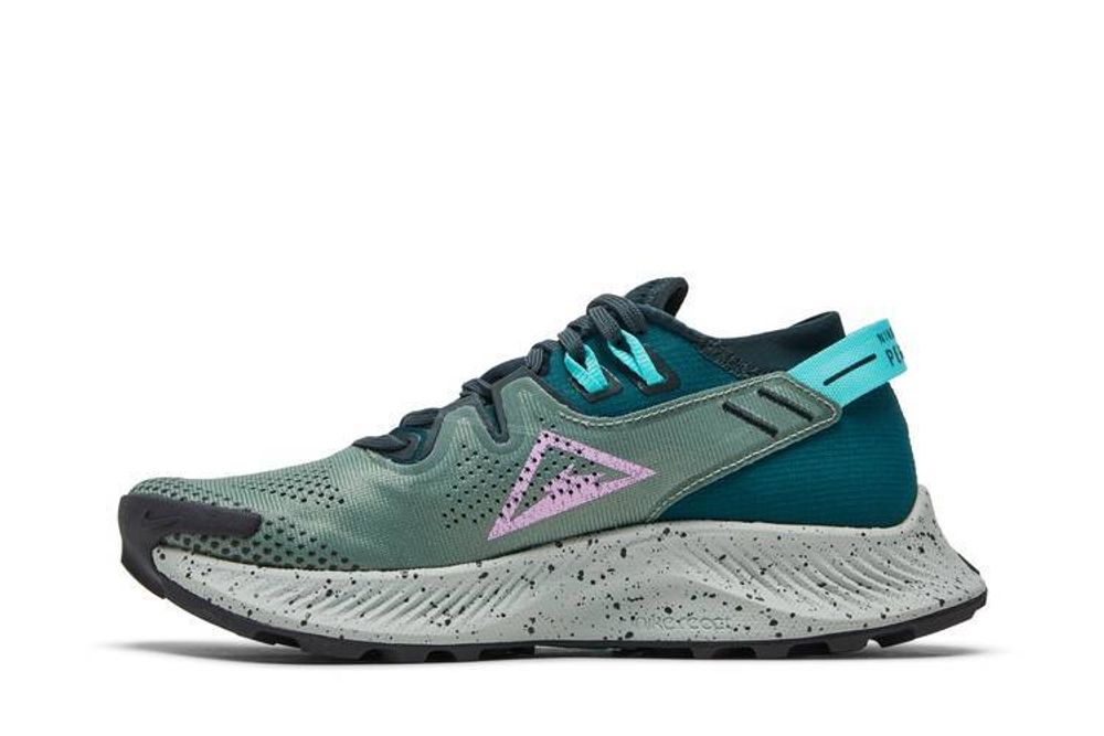 Кроссовки Nike Pegasus Trail 2 (Женская размерная сетка)