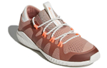 Кроссовки Adidas Crazytrain Pro (Женская размерная сетка)
