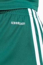Шорты adidas Squadra 25 - зеленый
