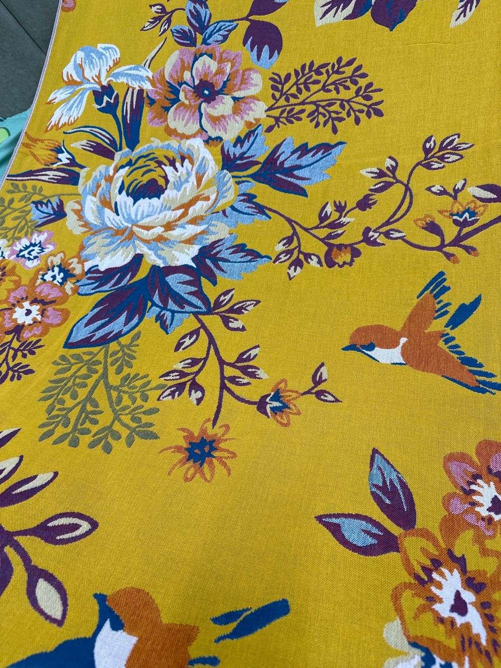 Пол Кит Пляж МУСЛИН РИВЬЕРА