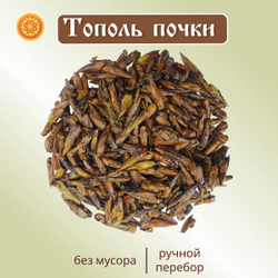 Тополь черный почки.