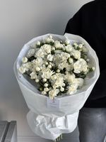 Моно букет из кустовых диантусов в белом оттенке 51 шт