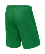 Шорты баскетбольные Camp Basic, зеленый