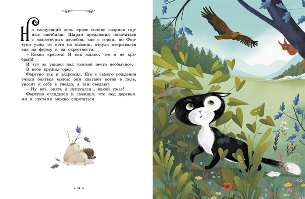 Котёнок, который всего боялся