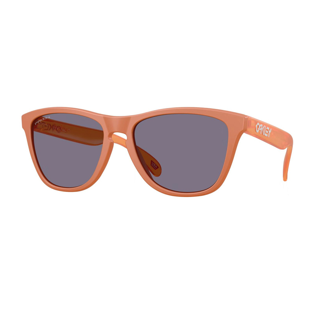 Oakley Frogskins Tinted Очки E7