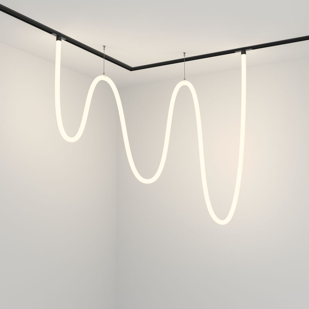 Трековый магнитный светодиодный светильник Maytoni   TR101-2-100W4K-B