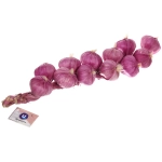 Муляж «Чеснок красный» связка 40см