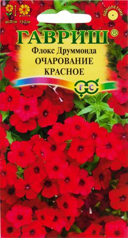 Флокс Друммонда Очарование красное