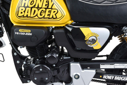 Мотоцикл MOTOLAND Monkey 150 PITBIKE