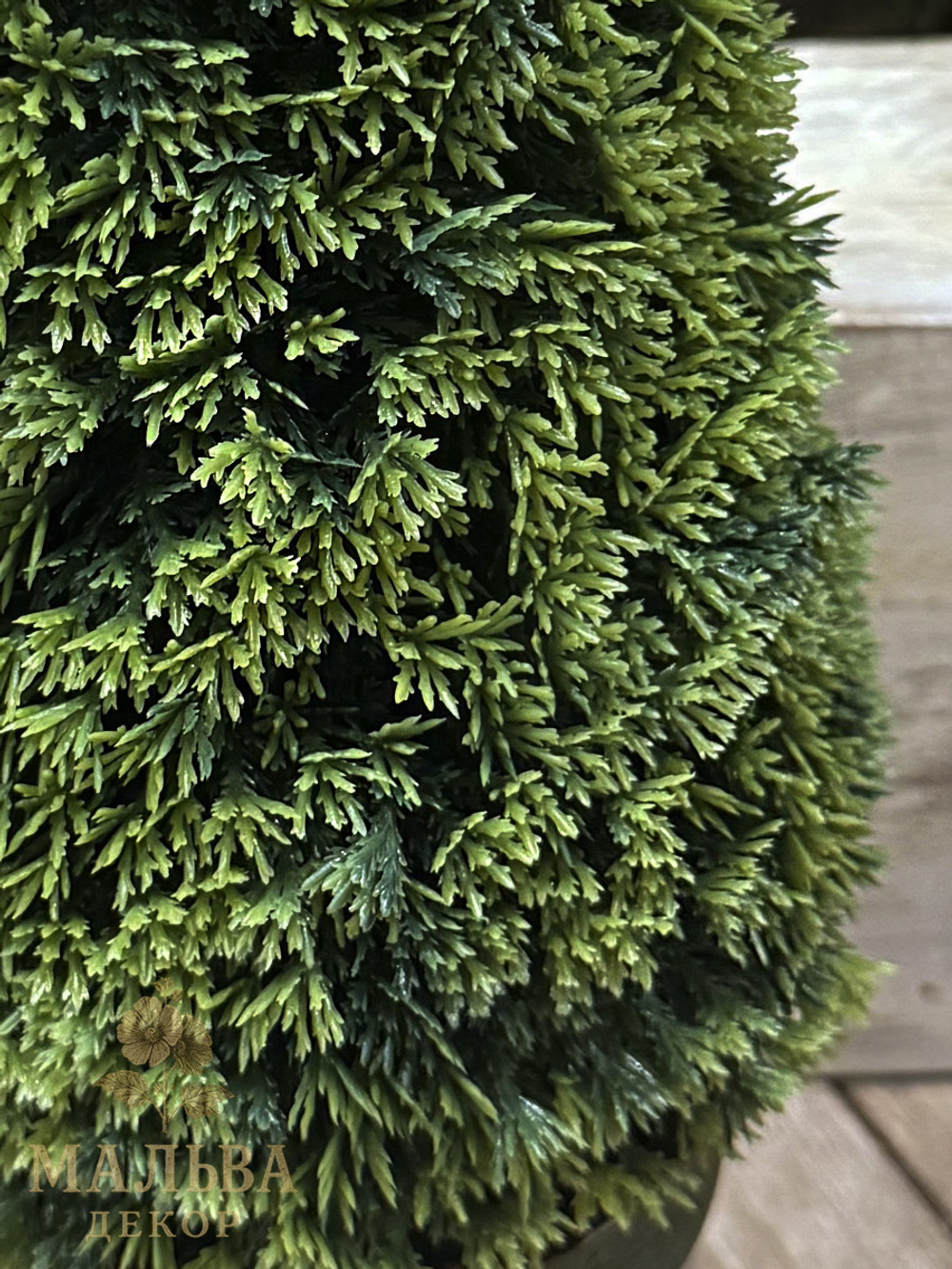 Туя в кашпо декоративная 15x15x36 см