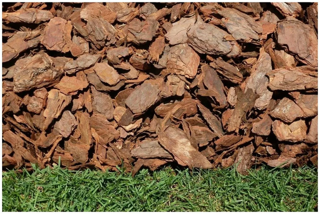 Пару слов зачем вам нужна кора