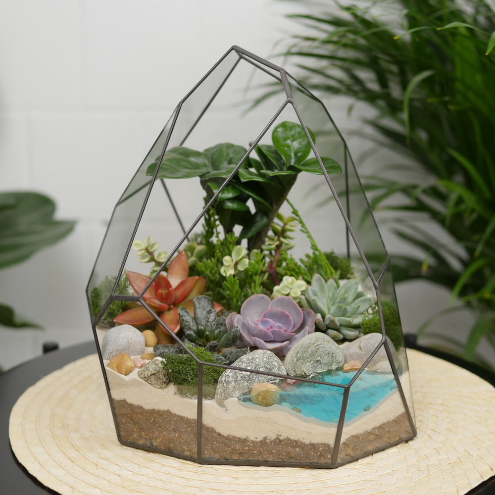 Готовый флорариум с суккулентами Hill с озером