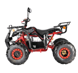 Электроквадроцикл White Siberia PRO SNEG 178W Черный