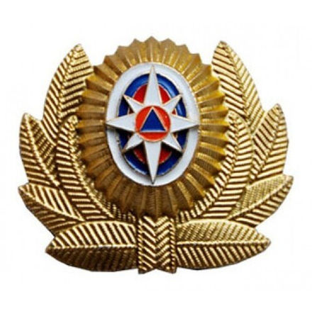 Кокарда МЧС большая с розой ветров