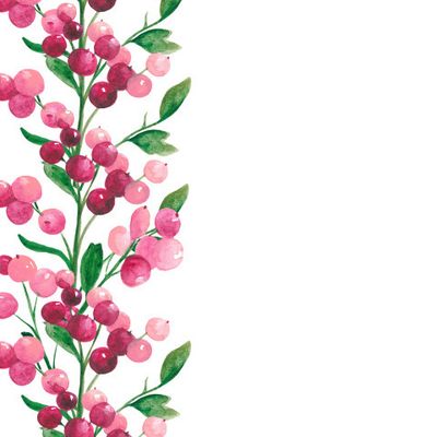 Брусника на белом фоне