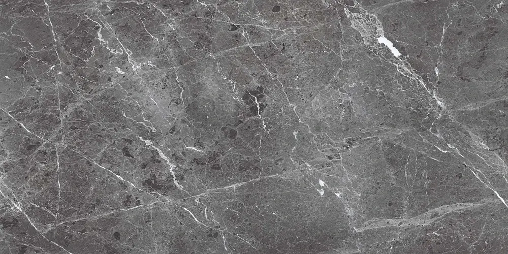 Керамогранит Primavera Ardesia Grafito Polished 60x120 см (PR208)