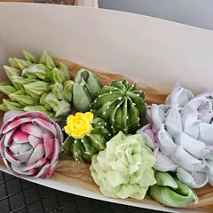 Зефир «Кактусы» / 24*10 см