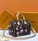 Сумка LOUIS VUITTON х TM Speedy 25, коричневый
