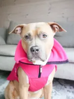 Непромокаемая попона Dog Coat BullyBillows