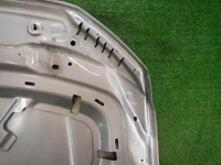 Капот VW Tiguan 2 (2016-2020)