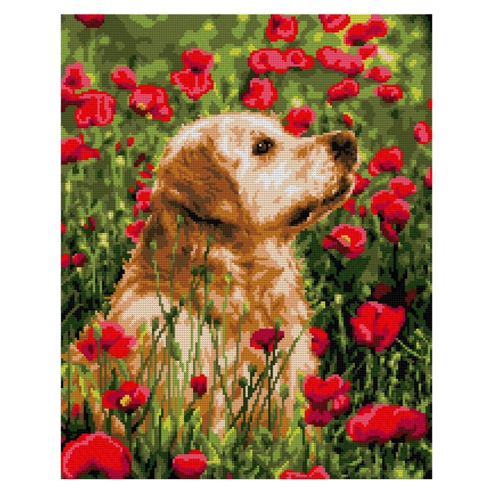 Алмазная мозаика 40*50см полн.заполн. "Лабрадор в цветах" (Lori) Алмазная мозаика 40*50см полн.заполн. "Лабрадор в цветах" (Lori)