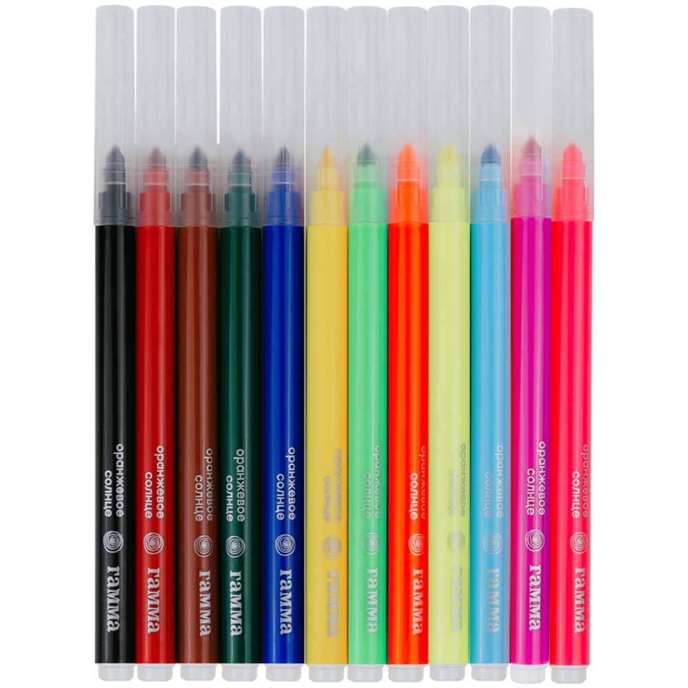 Фломастеры 12 цветов(6 обычных + 6 неоновых цветов) Гамма Оранжевое солнце, смываемые