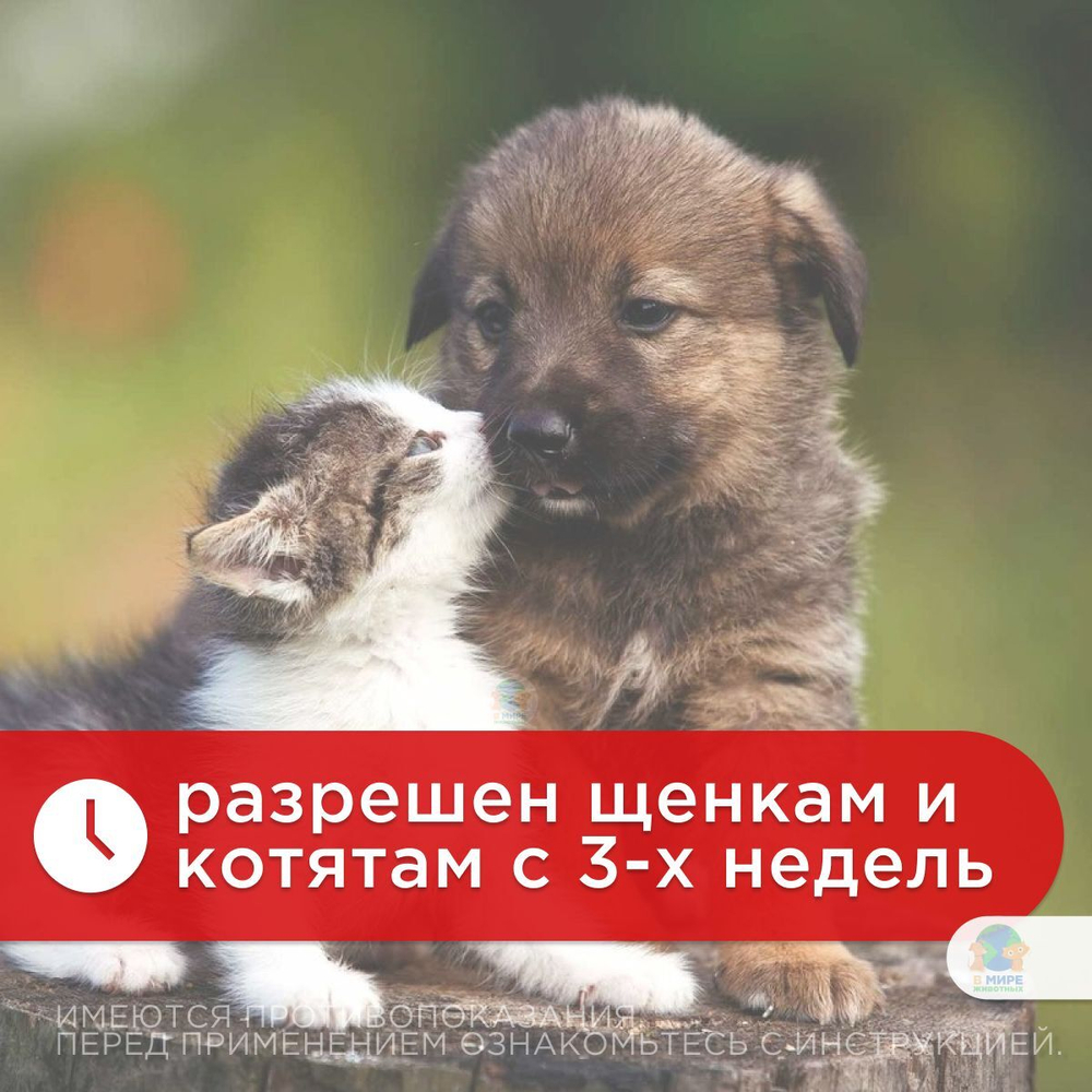 Паста от гельминтов Дирофен-20 для котят и щенков, 10мл