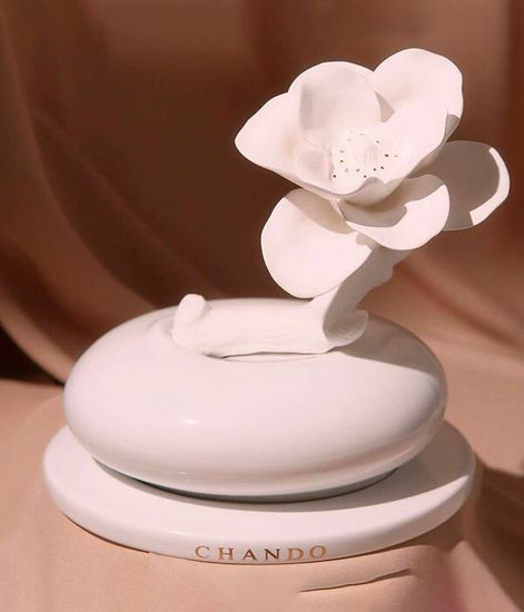 Romance, ароматический диффузор с необычными палочками, Chando