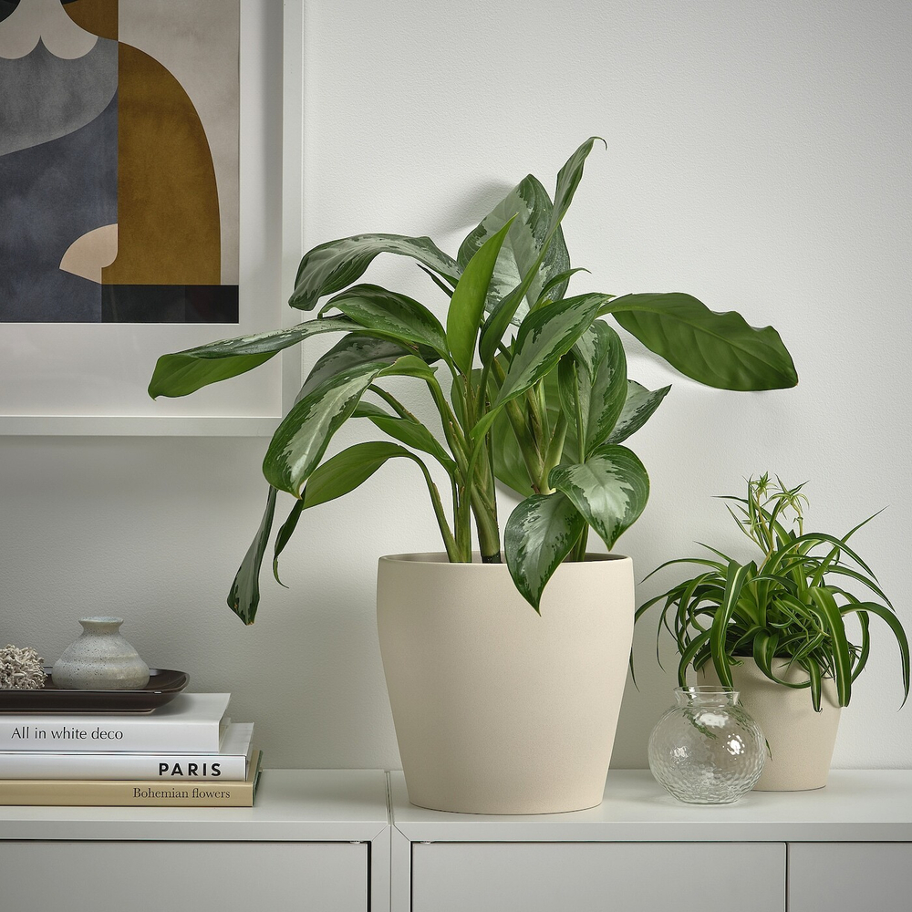 IKEA PERSILLADE  (ИКЕА ПЕРСИЛЛАДЕ)  -  Подставка для посуды, светло-бежевая, 19 см