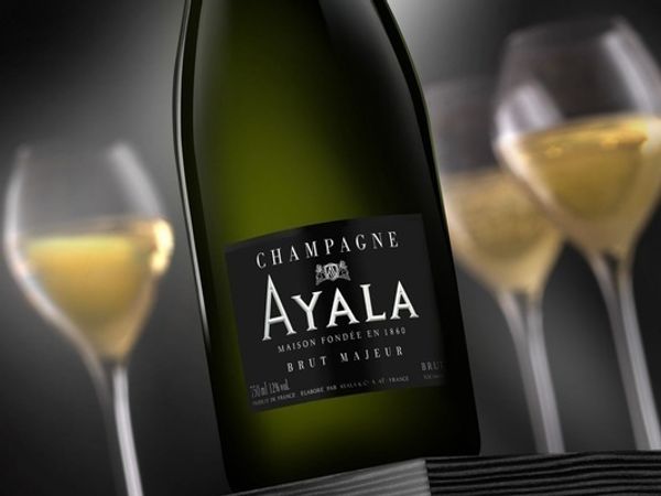 Вино недели с 20 ноября - Ayala Brut Majeur