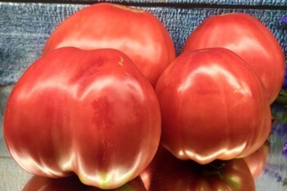 Рабочий выпуск пасты Х Польская слива тёти Сварло Work Release Paste Х Aunt Swarlo's Polish Plum