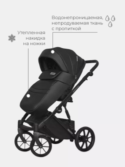 Коляска MONTANA ECCO (2 в 1) (RIKO BASIC)