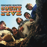 Count Five / Psychotic Reaction (LP)