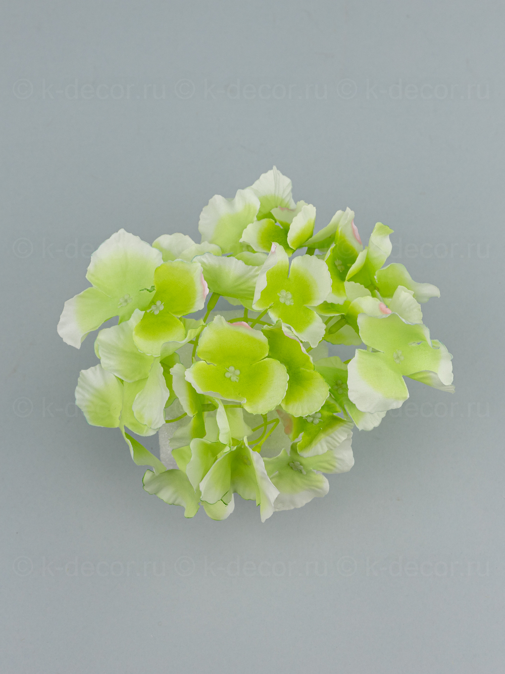 Гортензия Аннабель (голова)