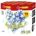 Салют «НезабудьКа!» (1,0»х19) МОДУЛЬ 1/12/1, СС7380