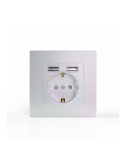 Розетка 1-м СП Pixel IP20 с заземл. с 2-мя заряд. устр. USB тип A+A механизм перламутр. TOKOV ELECTRIC TKE-PX-R1U2A-C04
