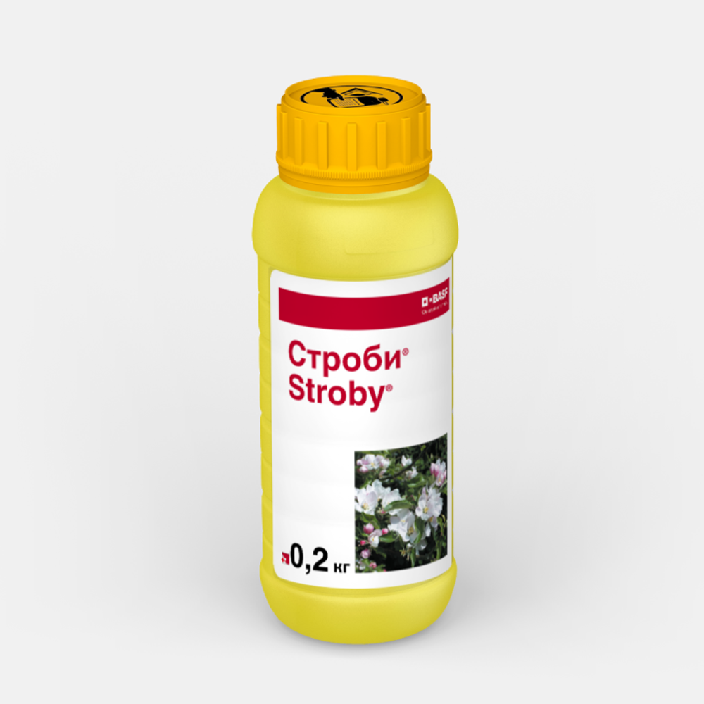 Строби,ВДГ