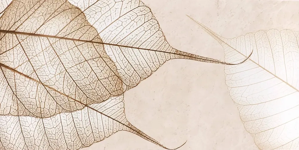 Декор настенный Тянь-Шань Ирида Листья 1 30x60 см (TP3688F1) 1.8 м2