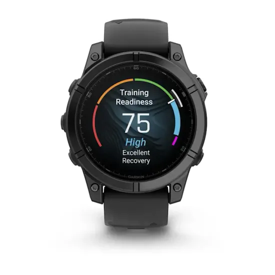 Премиальные мультиспортивные GPS часы Garmin Fenix E, Gray 010-03025-01