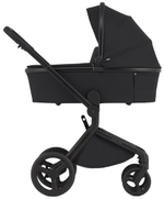 Детская коляска Anex Flo 2 в 1 Lungo